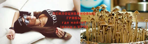 герыч Аркадак