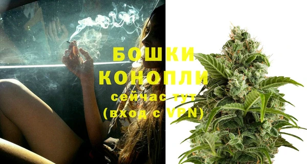 PSILOCYBIN Кодинск