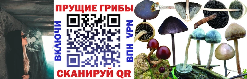 Псилоцибиновые грибы Cubensis hydra как зайти Орёл